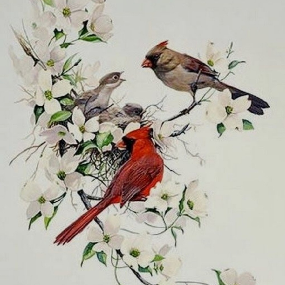 Meet your Posher, Kj